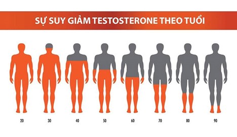 Sự suy giảm testosterone theo tuổi